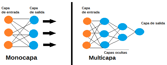 neurona